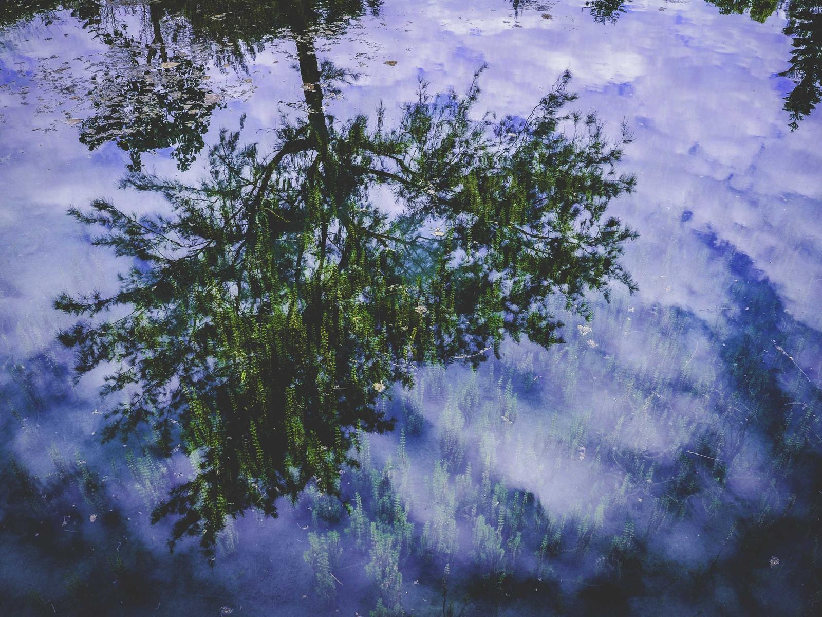 Apartamento Larios, Málaga